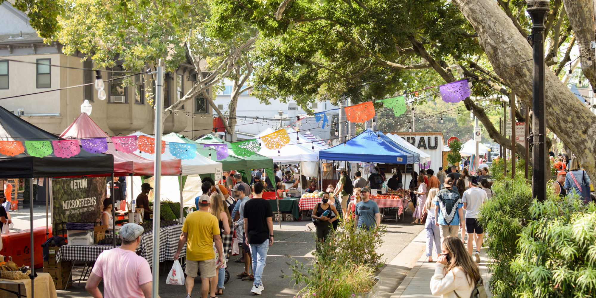 Make the Most of Your Visit to the Midtown Farmers Market