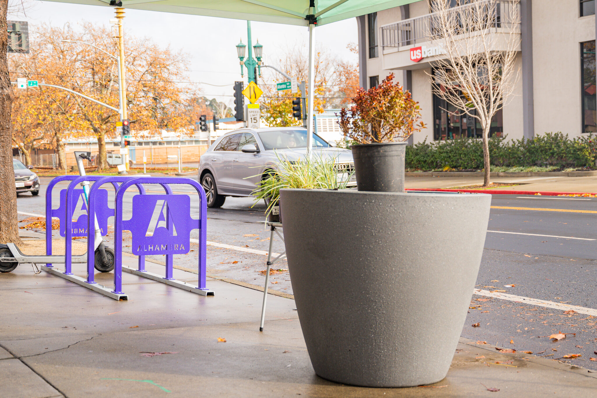 Alhambra Landscaping Case Study Midtown Association