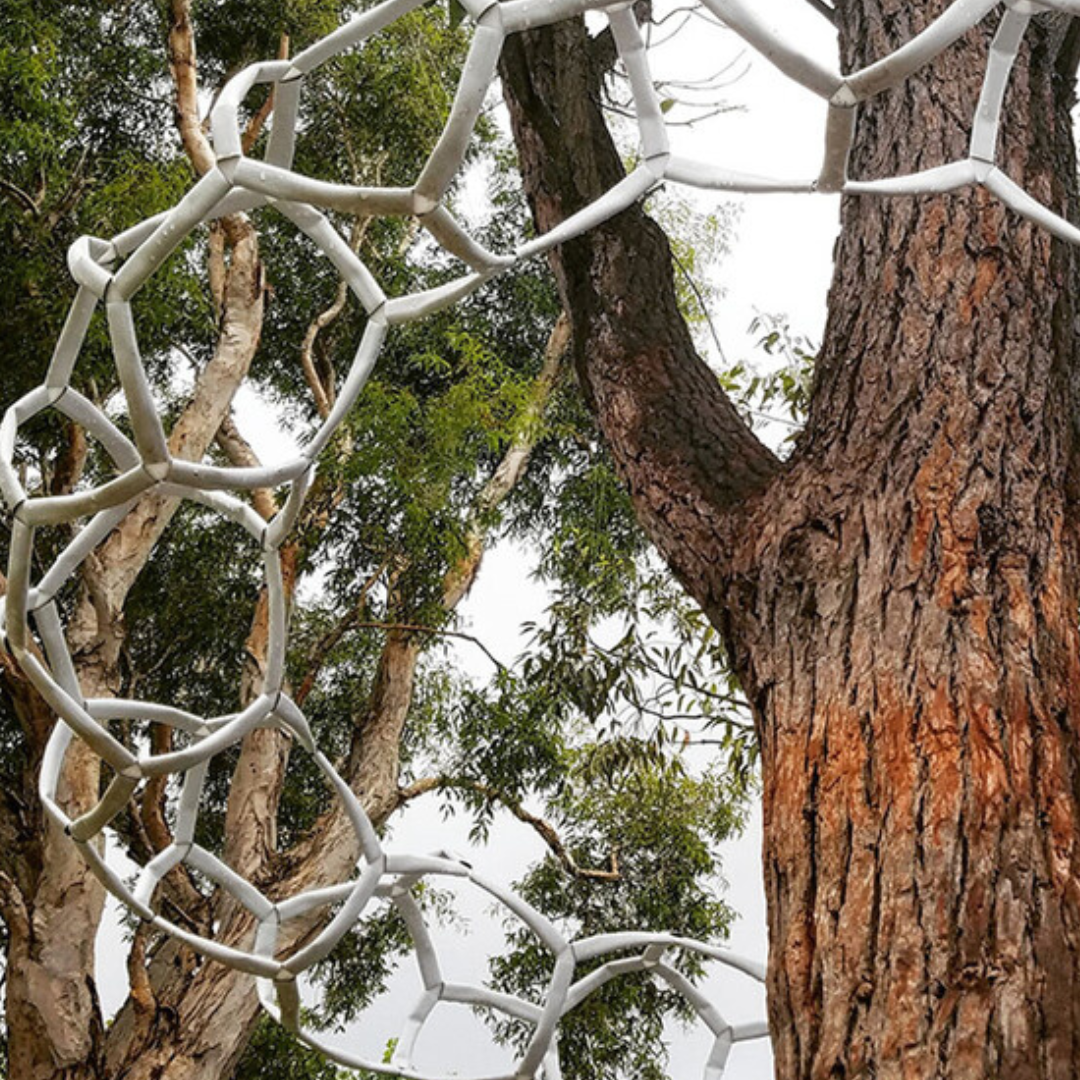 Dendro