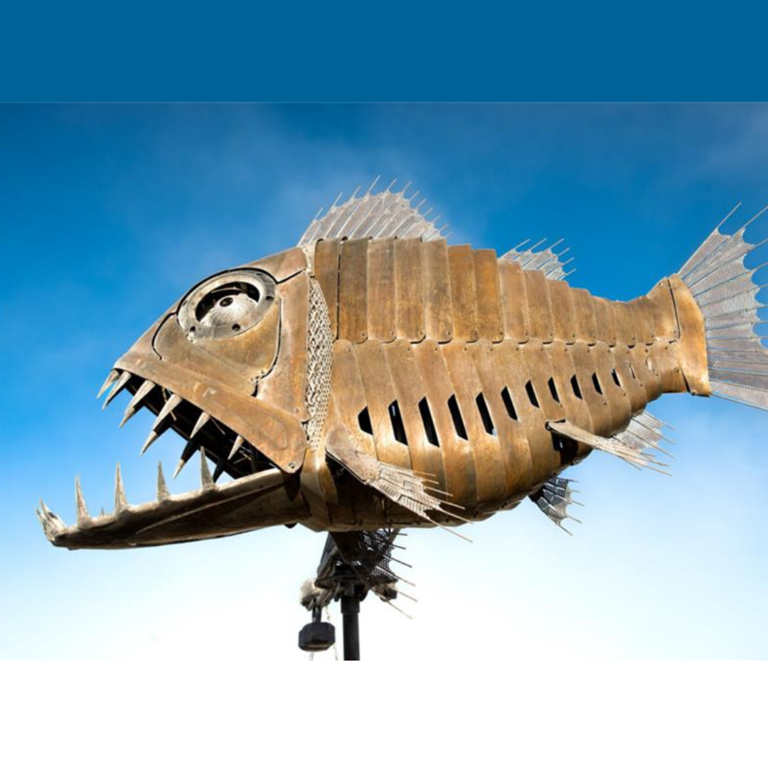 Ratchetfish