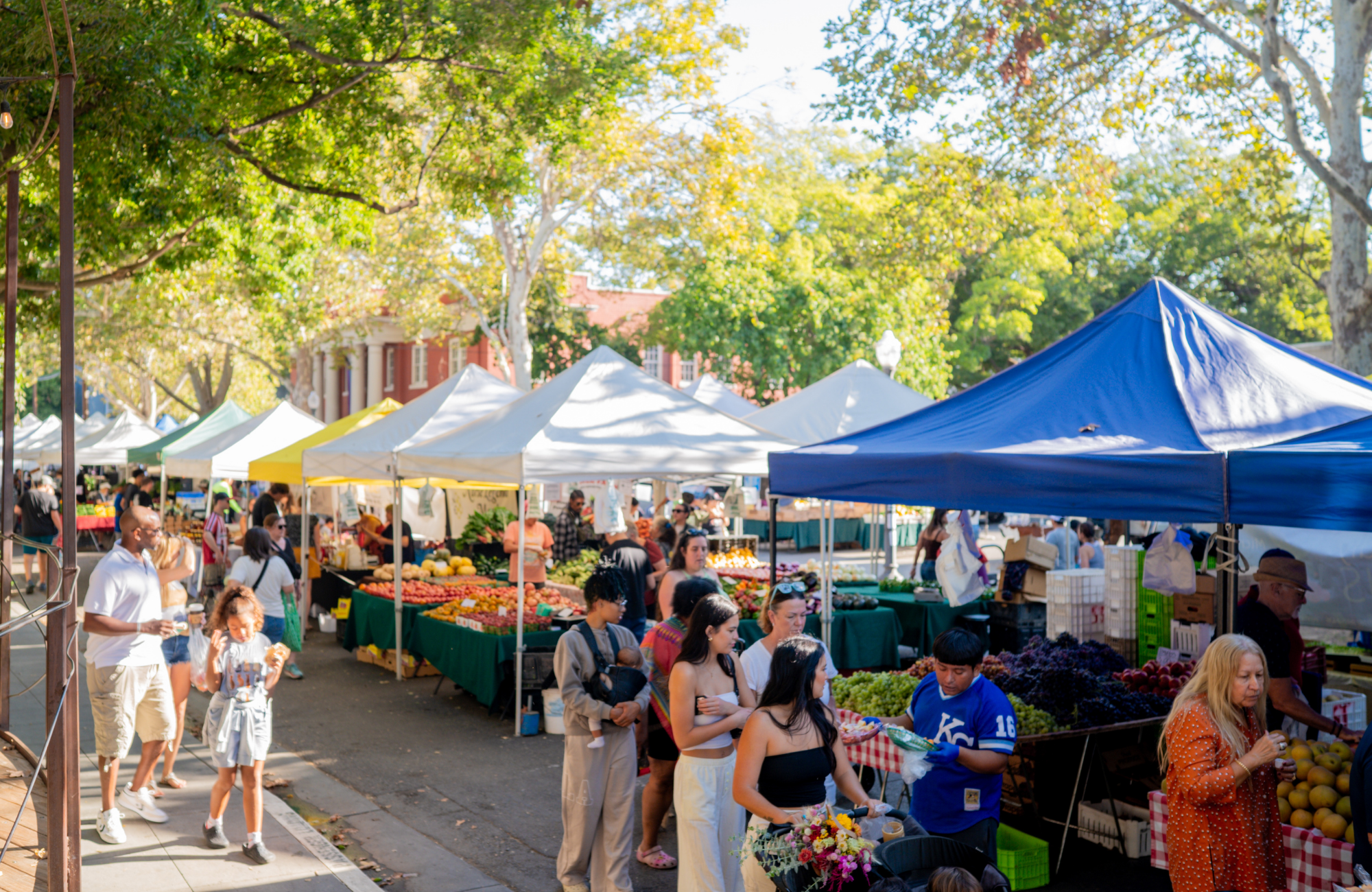 Untitled design - 2025-08-25T142637.787