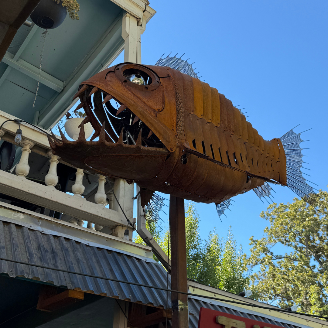 RatchetFish