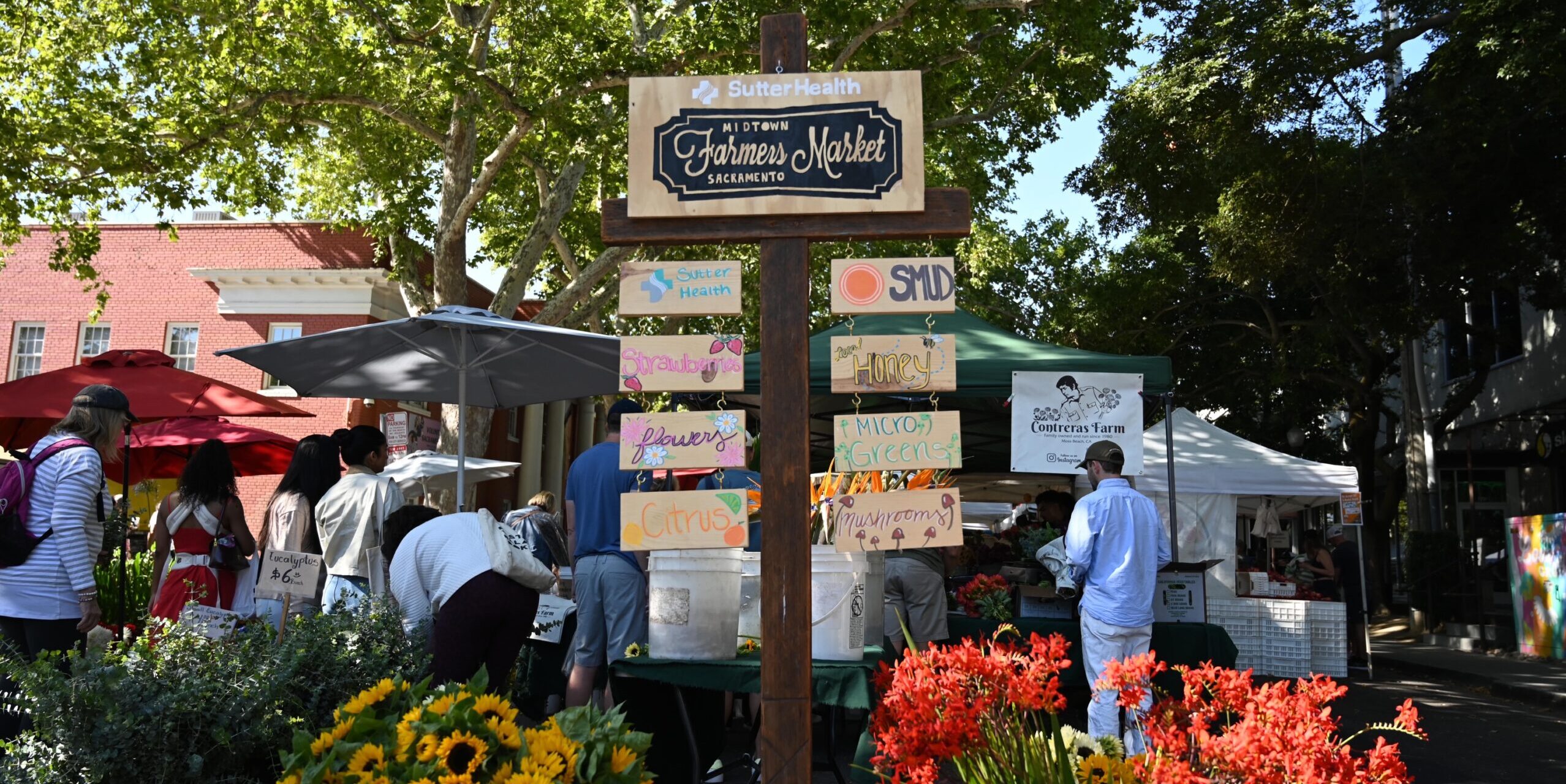 Midtown Farmers Market: From Stall to Storefront