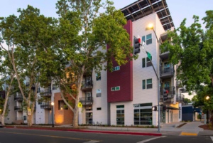 Lavender Courtyard by Mutual Housing