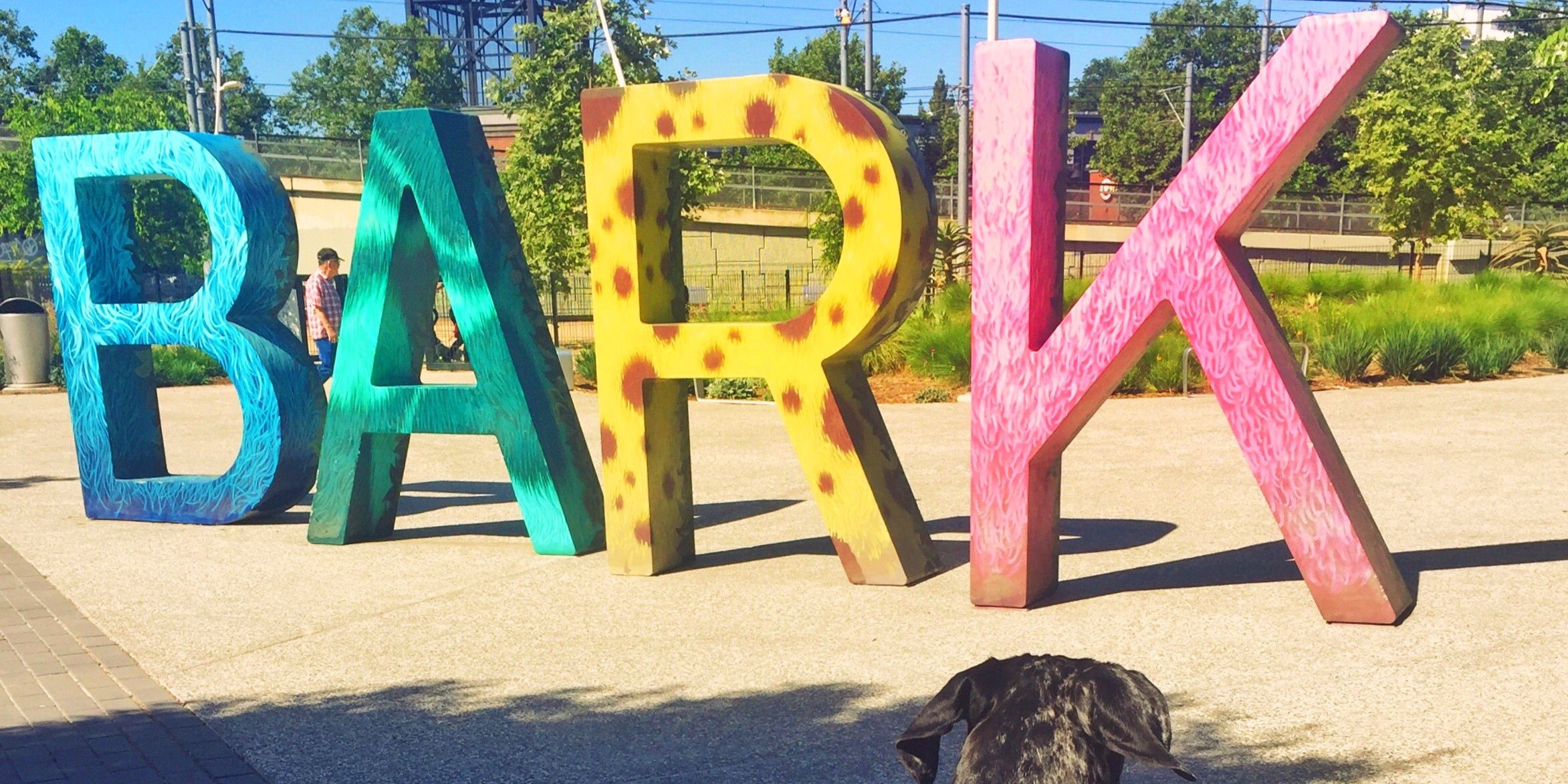 13 Pet-Friendly Spots in Midtown