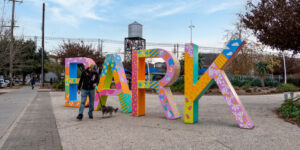 13 Pet-Friendly Spots in Midtown