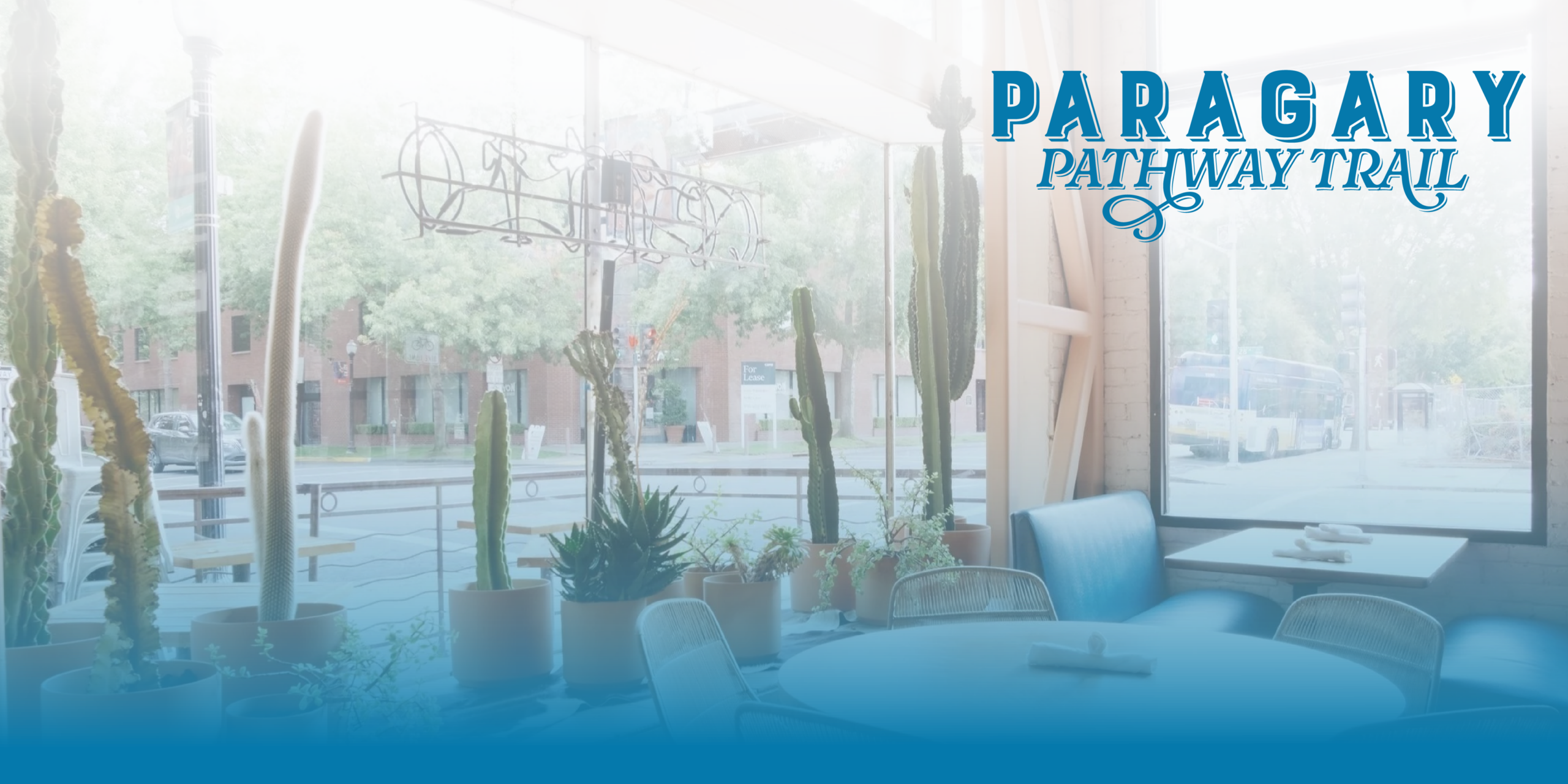 Centro on the Paragary Pathway Trail