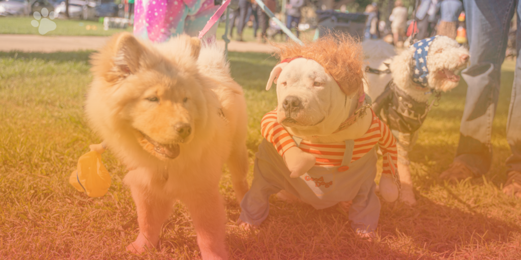 Midtown's Halloween Festival & Pooch Parade Returns on October 31!