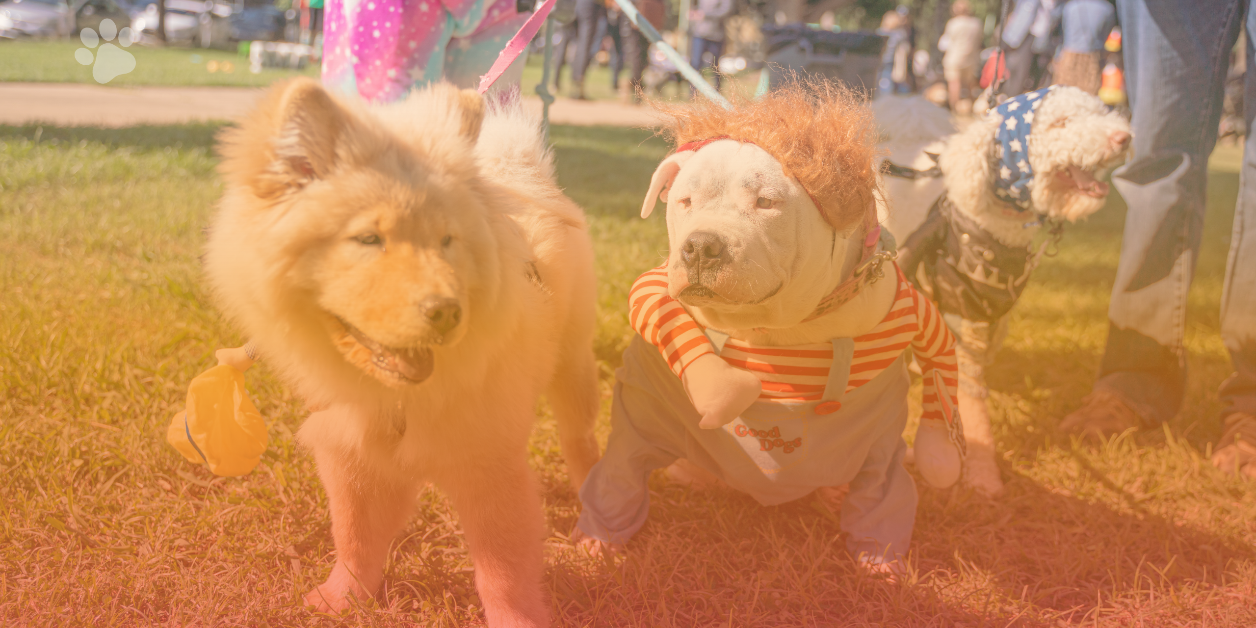 Midtown's Halloween Festival & Pooch Parade Returns on October 31!