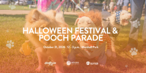 Midtown's Halloween Festival & Pooch Parade Returns on October 31!
